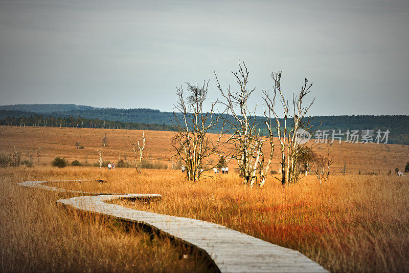 Hautes Fagnes 和 Baraque Michel